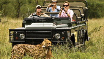 Game-Drive-Serengeti