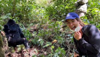 Gorilla-selfie