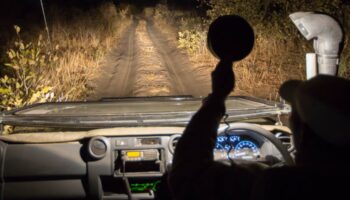 Night-game-drives-