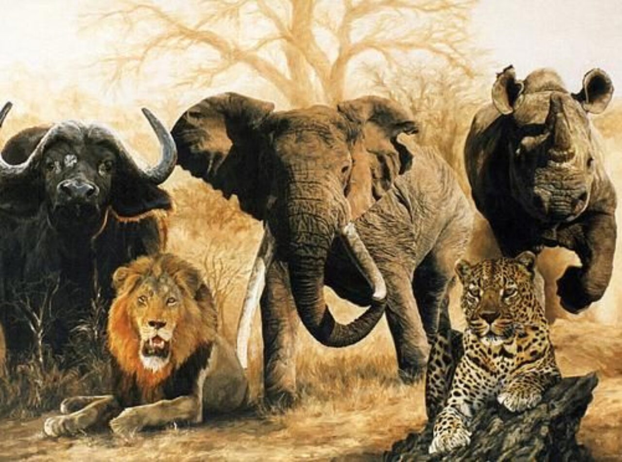 Big 5-spellen sightseeing in Tanzania