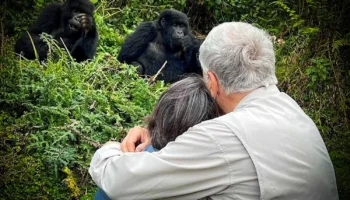couple_gorilla_trekking__