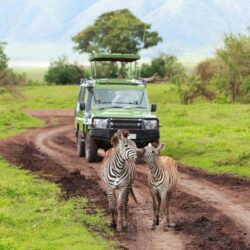 lake-mburo-game-drive