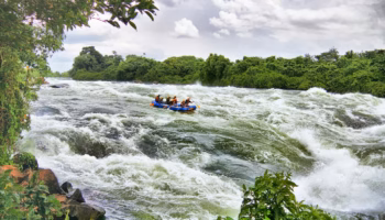 Rafting_75