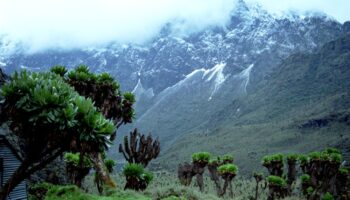 Montanhas Rwenzori