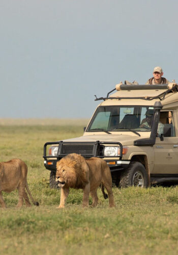 serengeti-adventure